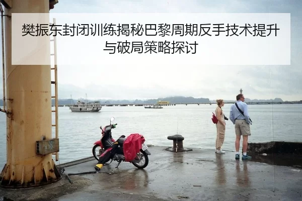 樊振东封闭训练揭秘巴黎周期反手技术提升与破局策略探讨
